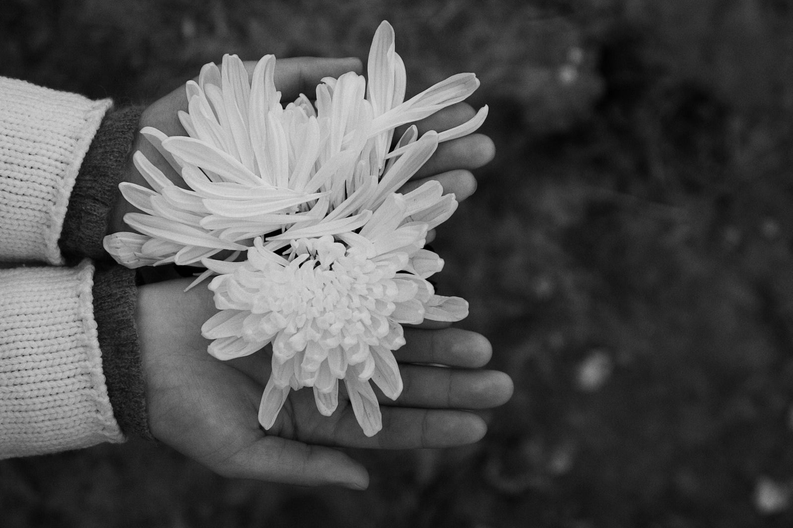 30 textes pour une maman disparue : des mots doux pour lui rendre hommage