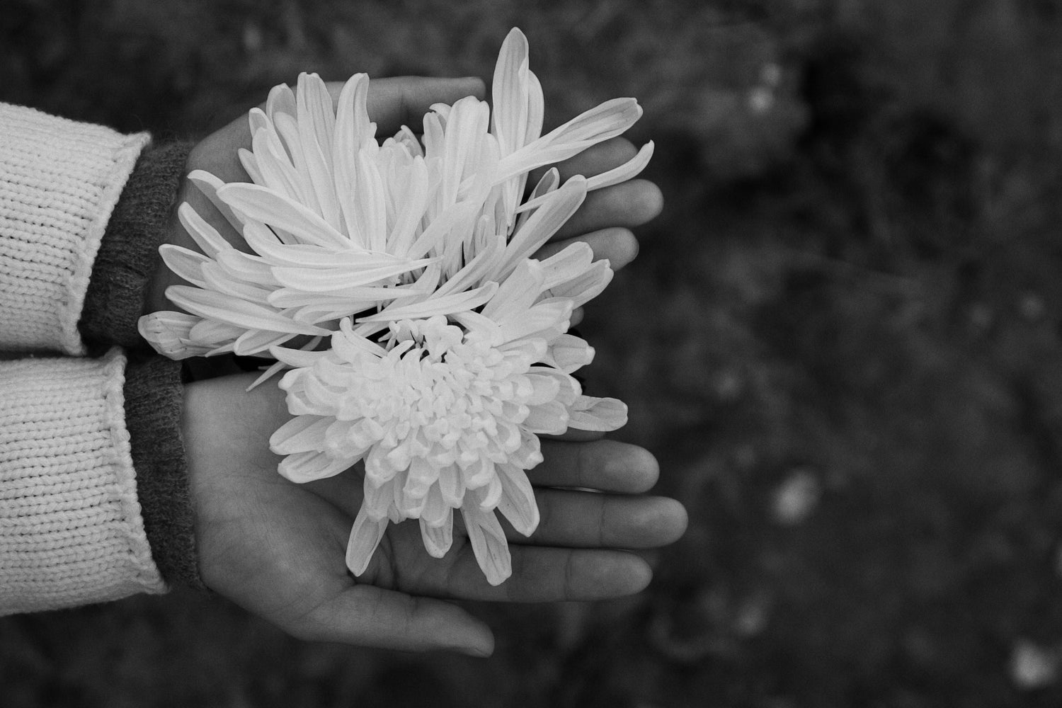 30 textes pour une maman disparue : des mots doux pour lui rendre hommage