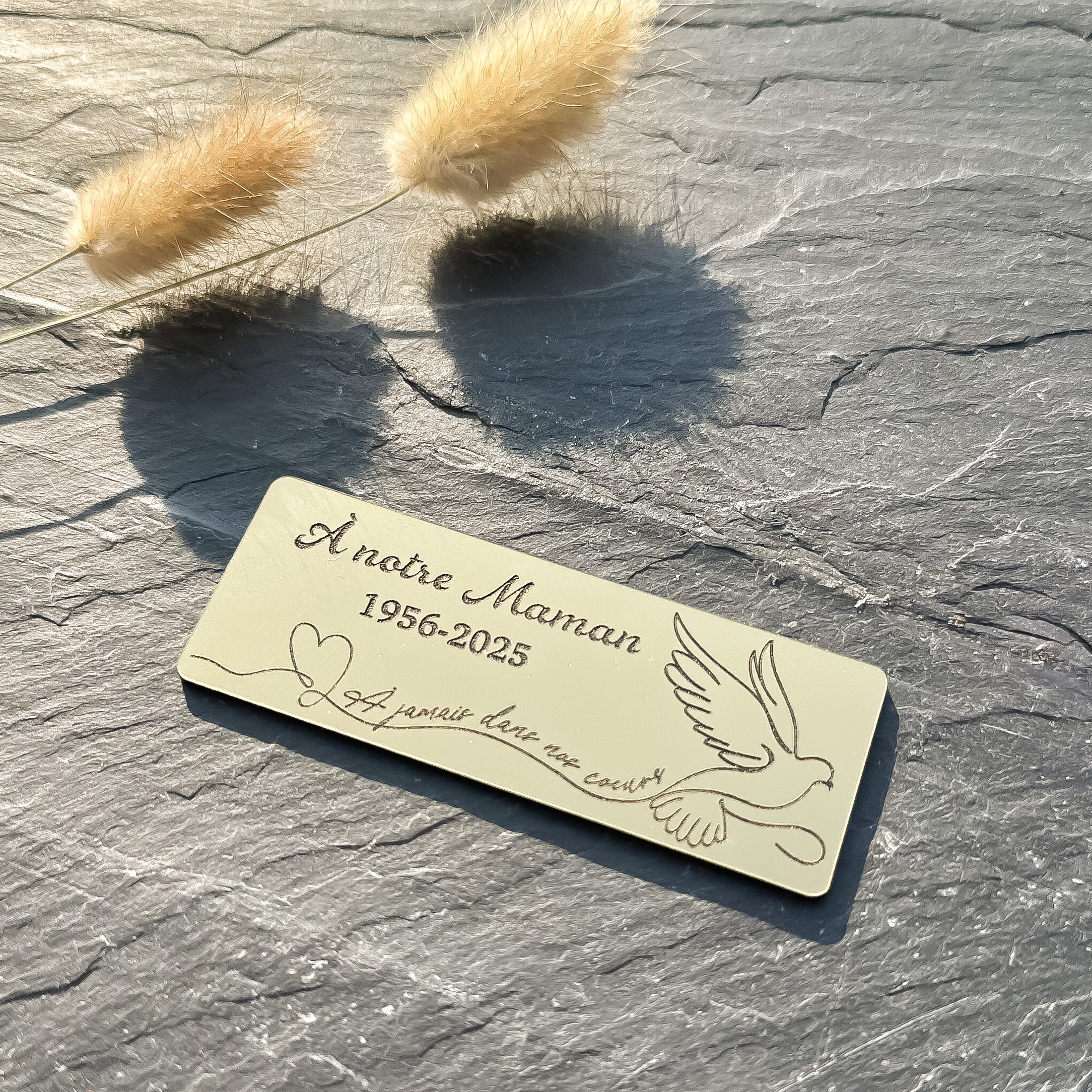 Quand le cœur devient colombe