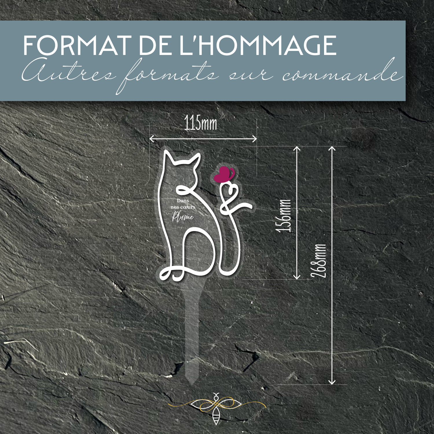 Ligne Éternelle - Chat