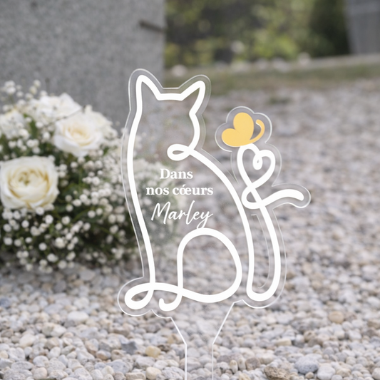 Ligne Éternelle - Chat