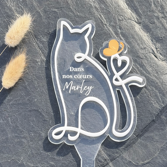 Ligne Éternelle - Chat